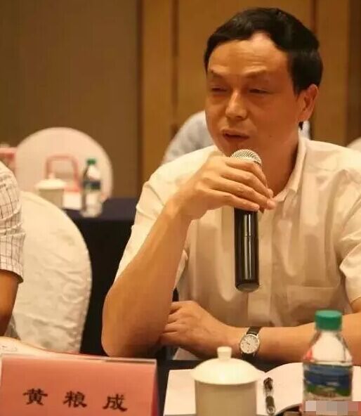 15064851032936.png 中色科技股份有限公司董事長(zhǎng)黃糧成